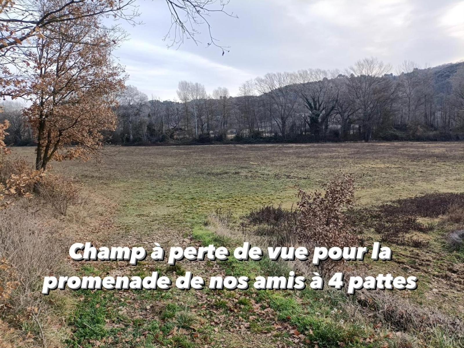 אלמן-אן-פרובאנס Gite Avec Terrasse Privee Proche Des Gorges Du Verdon מראה חיצוני תמונה